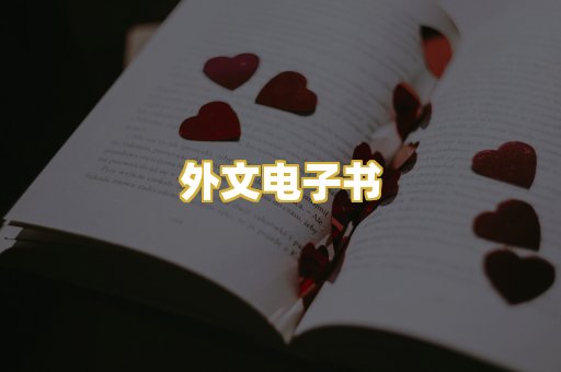 外文电子书